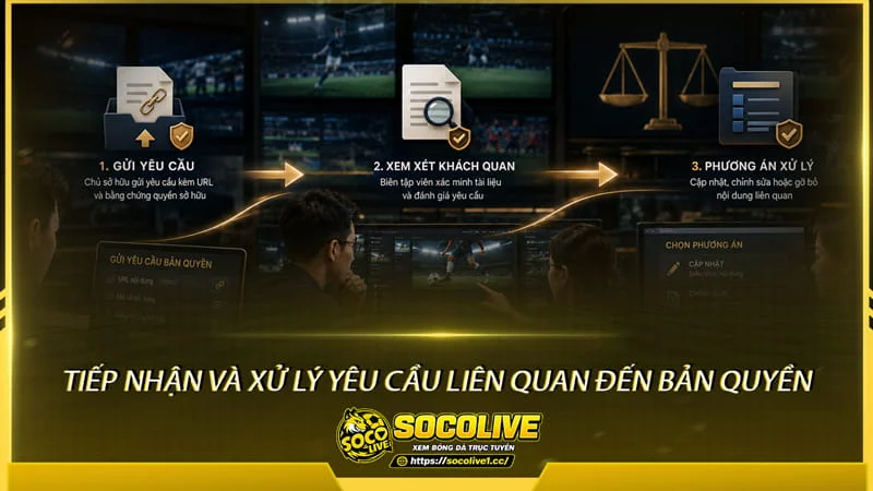 Tiếp nhận và xử lý yêu cầu liên quan đến bản quyền tại Socolive