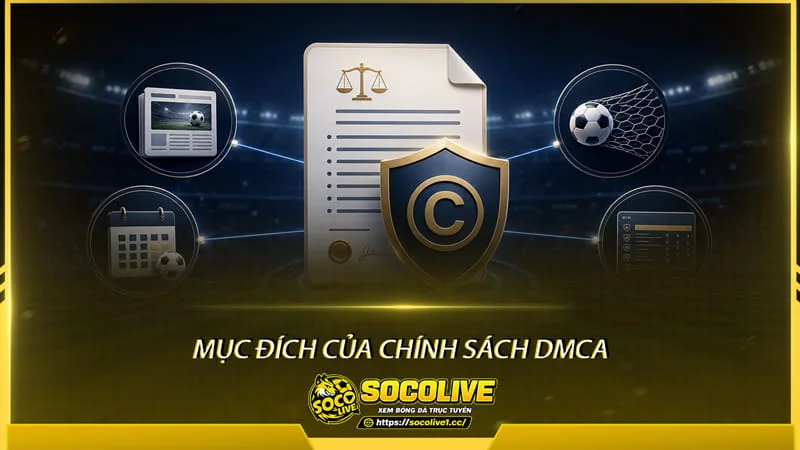 Mục đích của Chính sách DMCA tại Socolive TV