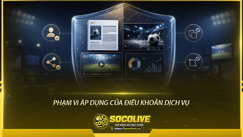 Phạm vi áp dụng của điều khoản dịch vụ Socolive
