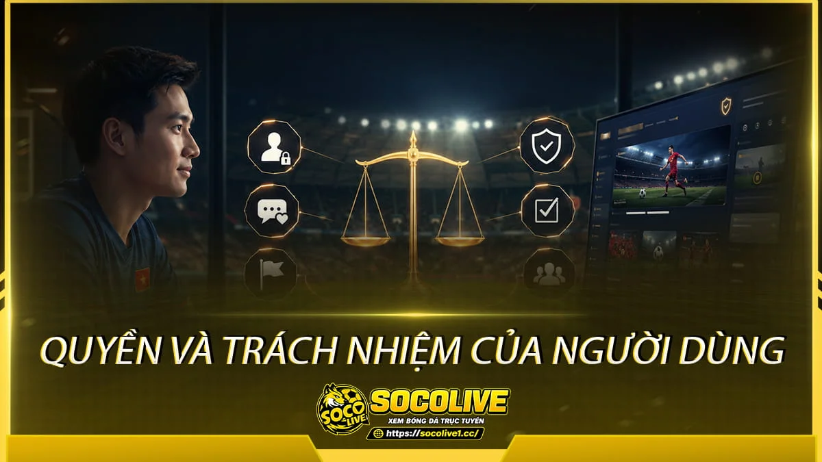 Quyền và trách nhiệm của người dùng tại Socolivetv