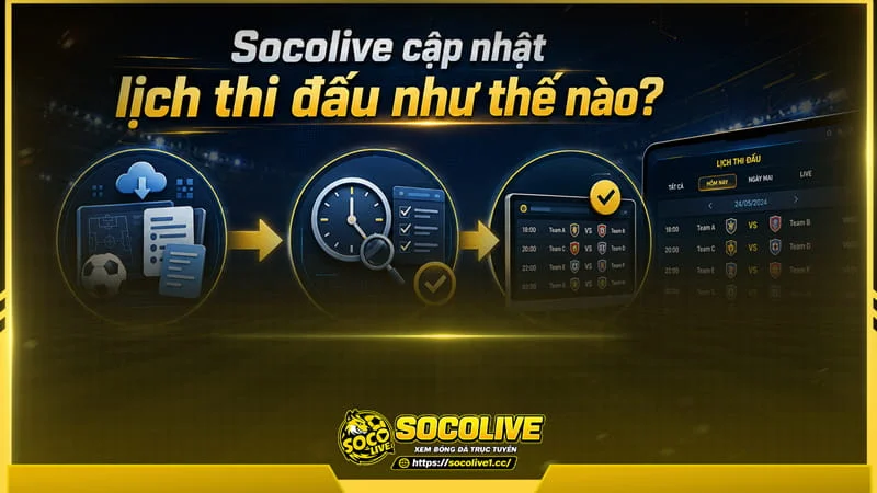 Socolivetv xây dựng hệ thống cập nhật dữ liệu lịch thi đấu theo thời gian thực Socolivetv xây dựng hệ thống cập nhật dữ liệu lịch thi đấu theo thời gian thực