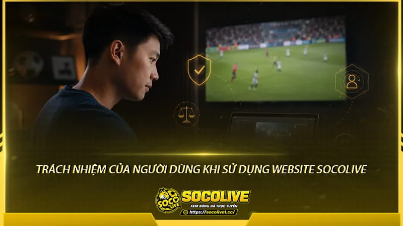 Trách nhiệm của người dùng khi sử dụng website Socolive TV Trách nhiệm của người dùng khi sử dụng website Socolive TV