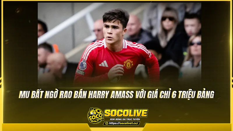 Harry Amass được định giá khoảng 6 triệu bảng