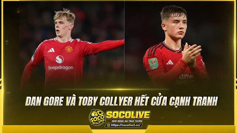 Dan Gore và Toby Collyer hết cửa cạnh tranh