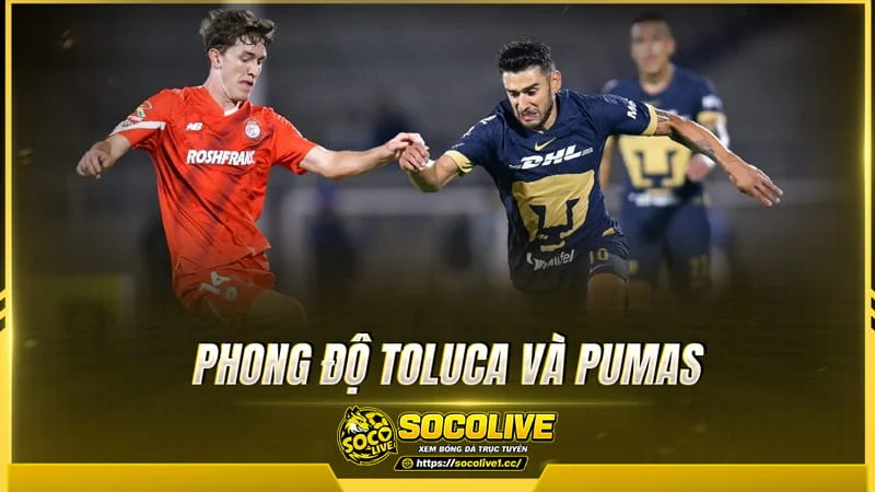 Dữ liệu phong độ được Socolive TV tổng hợp Dữ liệu phong độ được Socolive TV tổng hợp