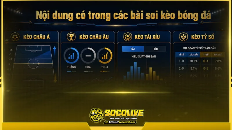 Socolive TV xây dựng nội dung soi kèo bóng đá đa dạng