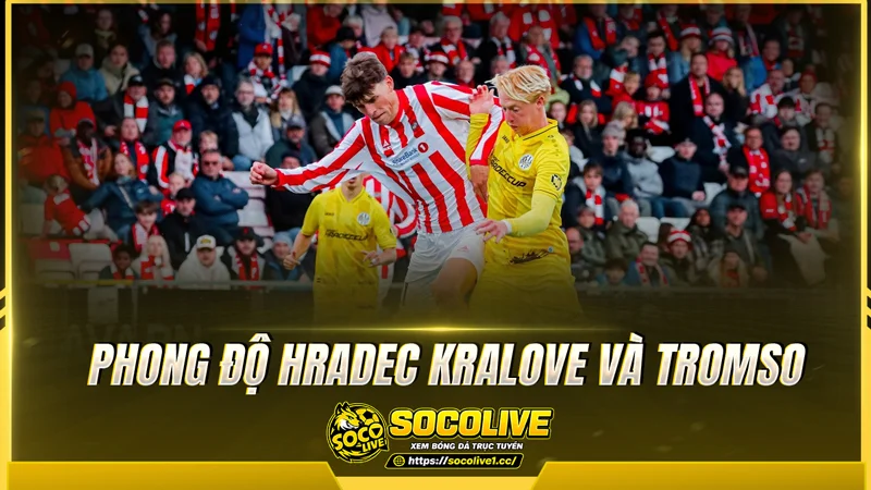 Phong độ Hradec Kralove và Tromso được Socolive tổng hợp Phong độ Hradec Kralove và Tromso được Socolive tổng hợp