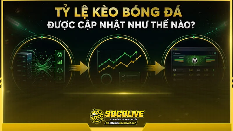 Socolivetv mang đến hệ thống dữ liệu cập nhật liên tục