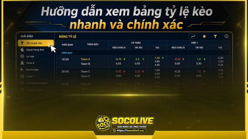Hướng dẫn xem bảng tỷ lệ kèo nhanh và chính xác tại website Socolive