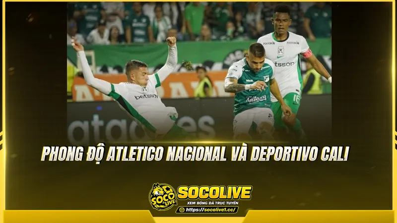 Phong độ Atletico Nacional và Deportivo Cali được Socolive TV tổng hợp