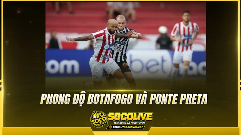 Phong độ Botafogo và Ponte Preta được Socolive TV tổng hợp Phong độ Botafogo và Ponte Preta được Socolive TV tổng hợp