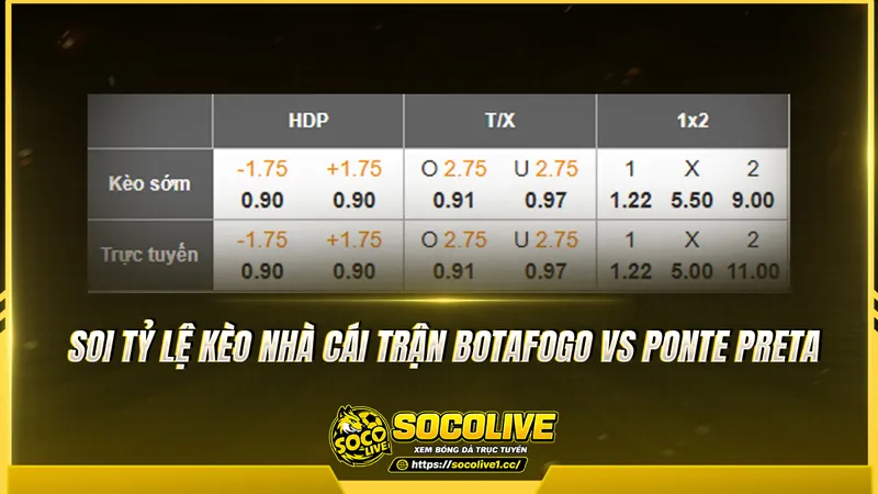 Soi tỷ lệ kèo nhà cái trận Botafogo vs Ponte Preta Soi tỷ lệ kèo nhà cái trận Botafogo vs Ponte Preta