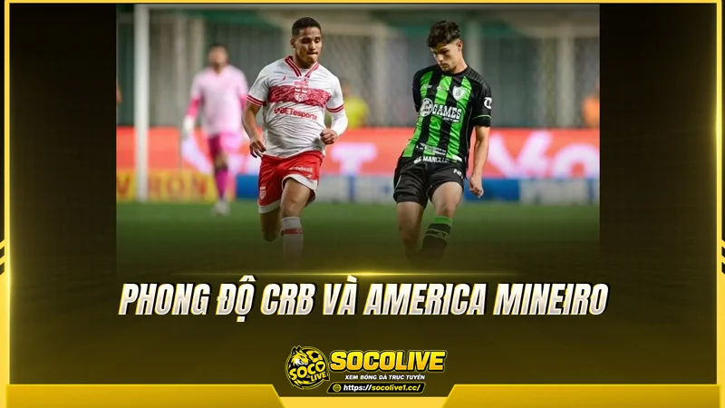 Phong độ CRB và America Mineiro được Socolive TV tổng hợp Phong độ CRB và America Mineiro được Socolive TV tổng hợp