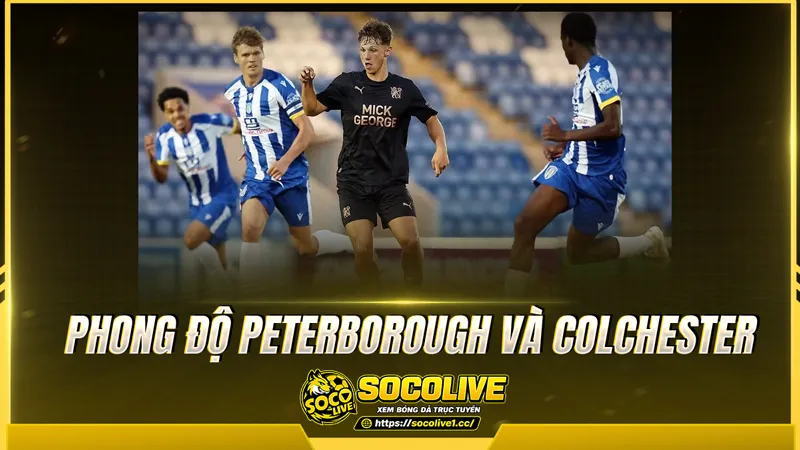 Phong độ Peterborough và Colchester được Socolive TV tổng hợp Phong độ Peterborough và Colchester được Socolive TV tổng hợp