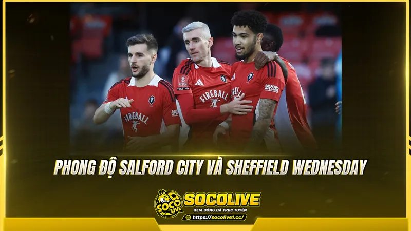 Phong độ Salford City và Sheffield Wednesday được Socolive TV tổng hợp